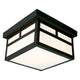 Galaxy Lighting - Outdoor Ceiling Light - Lights Canada