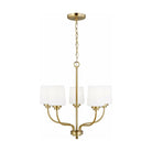 Generation Lighting - Windom 5-Light Chandelier - Lights Canada