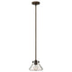 Hinkley - Congress Mini Pendant - Lights Canada
