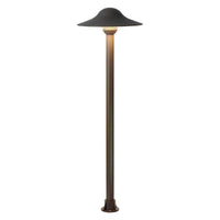 Path light Landscape Lighting