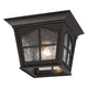 Galaxy Lighting - Outdoor Ceiling Light - Lights Canada