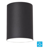 Outdoor Ceiling Light