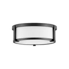 Hinkley - Hinkley Lowell Flush Mount - Lights Canada