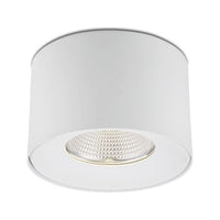Parkway Flush Mount