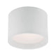 Eurofase - Benton Flush Mount - Lights Canada