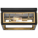 Hinkley - Shaw Medium Flush Mount - Lights Canada