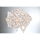 Eurofase - Trento Chandelier - Lights Canada