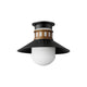 Admiralty 1-Light Outdoor Flush Mount