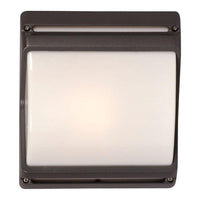 Outdoor Wall Light