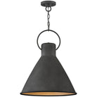 Hinkley - Winnie Medium Pendant - Lights Canada
