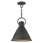 Hinkley - Winnie Pendant - Lights Canada