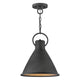 Hinkley - Winnie Pendant - Lights Canada