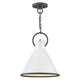 Hinkley - Winnie Pendant - Lights Canada