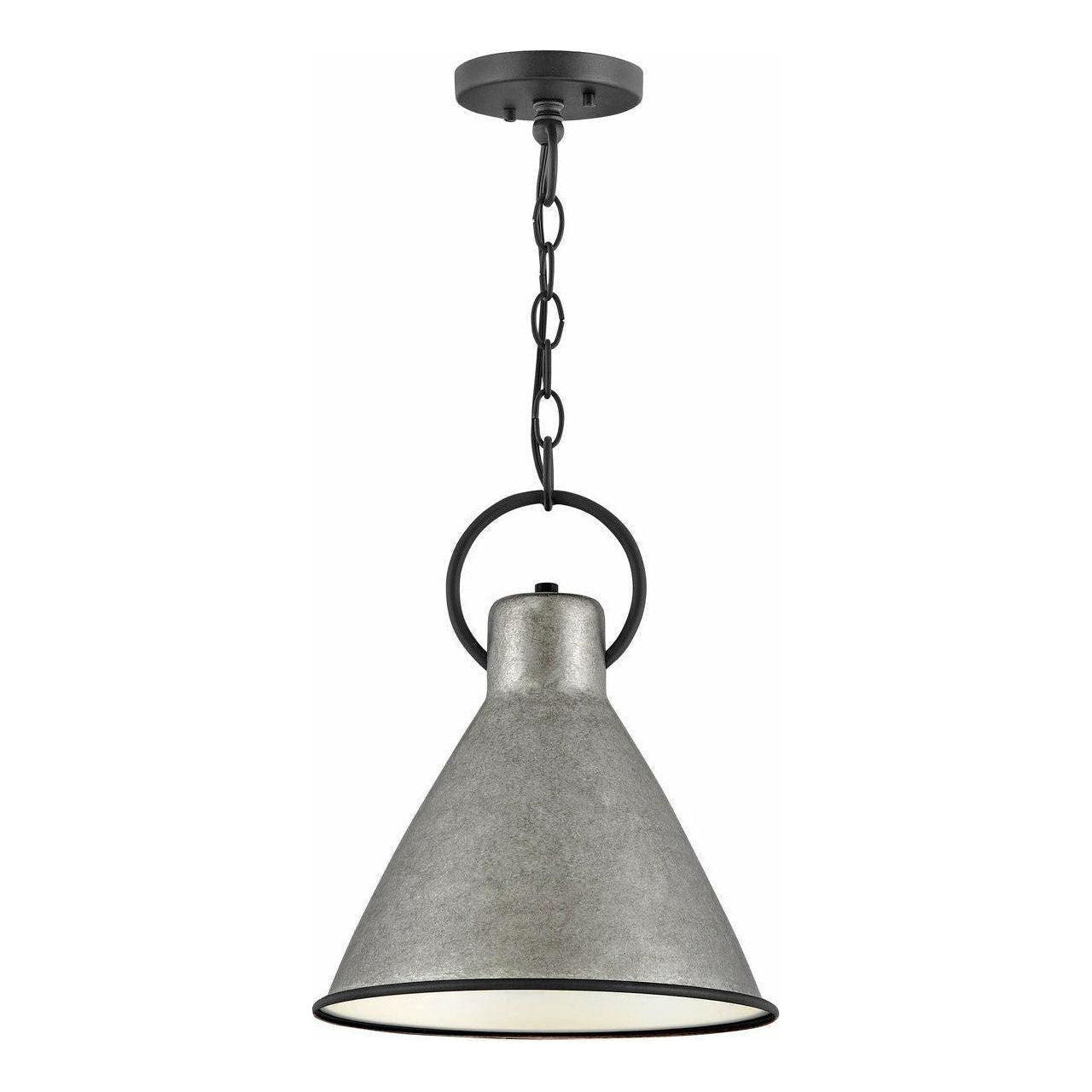 Hinkley - Hinkley Winnie Pendant - Lights Canada