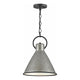 Hinkley - Hinkley Winnie Pendant - Lights Canada