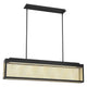 Eurofase - Coop Linear Suspension - Lights Canada