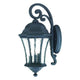 Acclaim - Waverly Outdoor Wall Light - Lights Canada