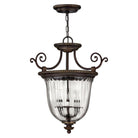 Hinkley - Cambridge Pendant - Lights Canada