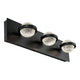 Eurofase - Ryder Vanity Light - Lights Canada