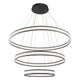 Eurofase - Forster Chandelier - Lights Canada