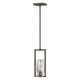 Hinkley - Hinkley Ana Pendant - Lights Canada