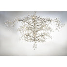 Maxim Lighting - Cluster Chandelier - Lights Canada