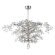 Maxim Lighting - Cluster Chandelier - Lights Canada