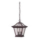 Acclaim - Aiken Outdoor Pendant - Lights Canada