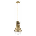 Hinkley - Hinkley Oliver Pendant - Lights Canada
