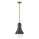 Hinkley - Hinkley Oliver Pendant - Lights Canada