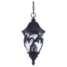 Acclaim - Capri Outdoor Pendant - Lights Canada