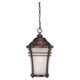 Acclaim - Vero Outdoor Pendant - Lights Canada