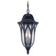 Acclaim - Milano Outdoor Pendant - Lights Canada