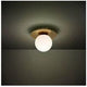 Eglo - Arenales 1-Light Semi Flush Mount - Lights Canada