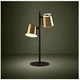 Eglo - Altmira 2-Light Table Lamp - Lights Canada