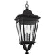 Generation Lighting - Cotswold Lane Medium Pendant - Lights Canada