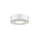 DALS - 2-in-1 LED puck - Lights Canada