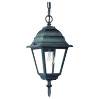 Builder's Choice Outdoor Pendant