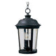 Maxim Lighting - Dover VX Outdoor Pendant - Lights Canada