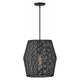 Hinkley - Hinkley Luca Pendant - Lights Canada