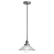 Dainolite - 1 Light 10 Inch Pendant - Lights Canada