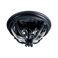 Camden VX Outdoor Ceiling Light