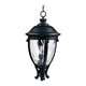 Maxim Lighting - Camden VX Outdoor Pendant - Lights Canada