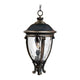 Maxim Lighting - Camden VX Outdoor Pendant - Lights Canada