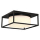 Eurofase - Ren 13" 2 Light Outdoor Ceiling Light - Lights Canada