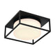 Eurofase - Ren 13" 2 Light Outdoor Ceiling Light - Lights Canada