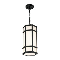 Monte 18" LED Outdoor Pendant