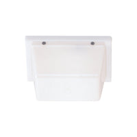 Ceiling / Wall Mount Outdoor Light