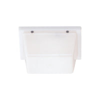 Ceiling / Wall Mount Outdoor Light