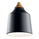 Kichler - Danika Mini Pendant - Lights Canada